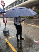 全家雨伞 全家雨伞粉色