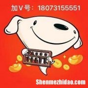 手续费多少 物流羊小咩怎么用起来的