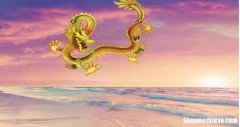 属龙多大寿命 属龙的寿命较长吗