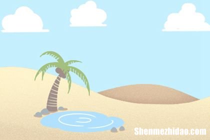 包含星座排盘组合盘解说的词条