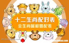 十二生肖兔爱情配对表图片 生肖兔与十二生肖爱情组合排名