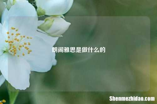 朗阁雅思是做什么的