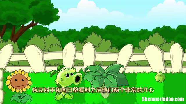 不是豌豆射手是什么梗 朋友圈豌豆射手是什么梗