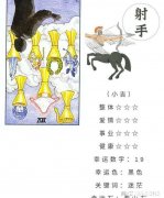 月双子人精 月亮双子的真实需要