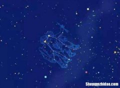529是什么星座 2002529是什么星座