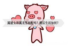 妈妈属龙孩子属猪好吗 属龙和属猪的孩子属什么好