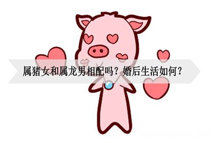 妈妈属龙孩子属猪好吗 属龙和属猪的孩子属什么好