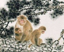 2016年属猴感情运势 2016年属猴感情运势怎样
