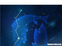 摩羯双子较虐心 摩羯双子较虐心的一句话