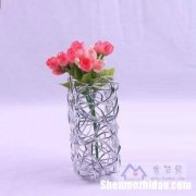 水瓶怎么做花瓶 水瓶怎么做花瓶的视频