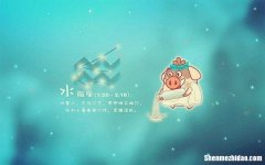 哪个星座是水瓶座克星 水瓶座是哪些星座的克星