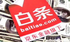 手续费多少 羊小咩买啥能用起来