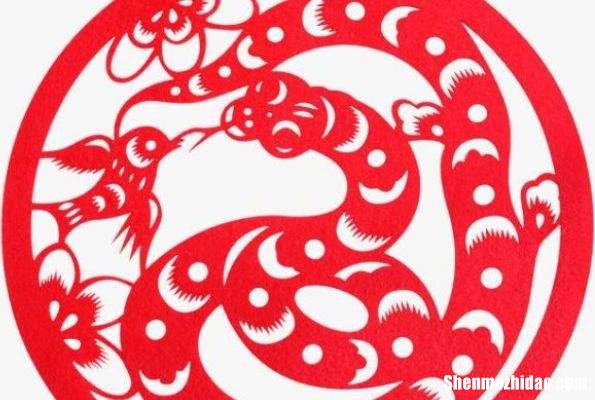 蛇2019年每月运势 蛇2019年每月运势如何