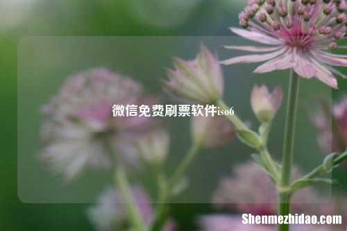 微信免费刷票软件iso6