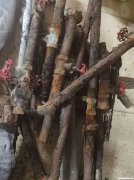 什么是直热管 直热管音质特点