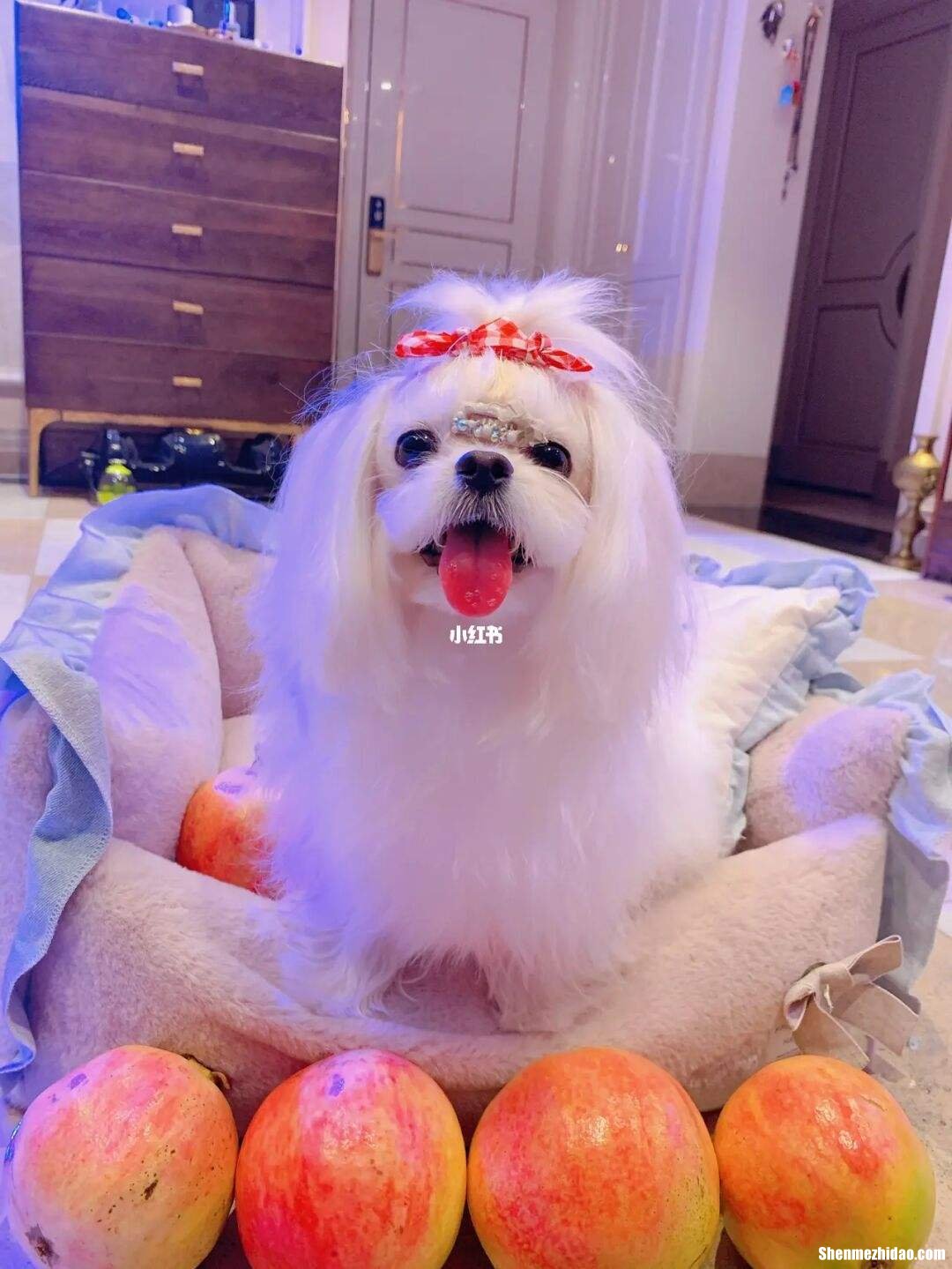 儿童摆摊卖什么动物好 摆摊卖儿童的东西什么较好