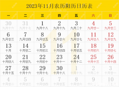 1971年11月3号阴历是多少岁 1971年11月3号属猪的是什么命