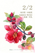 水瓶座生日花 水瓶座生日花向日葵
