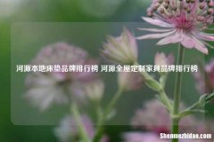 河源本地床垫品牌排行榜 河源全屋定制家具品牌排行榜