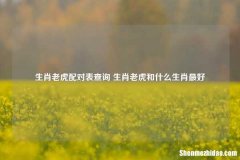 生肖老虎配对表查询 生肖老虎和什么生肖较好