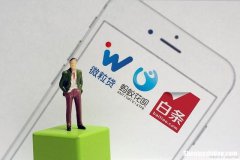 手续费多少 羊小咩没绑卡怎么用起来钱