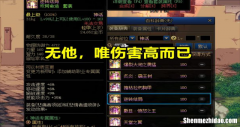 抗魔值装备 抗魔值发放对应的饰品
