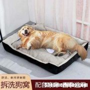 柯基喜欢的床垫品牌排行榜 柯基喜欢什么颜色的睡觉垫子