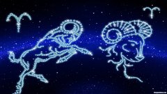 白羊座星座运势12月份 白羊座星座运势12月份出生
