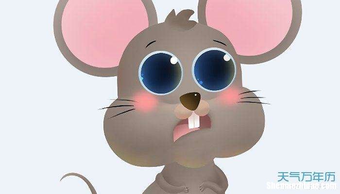 一家三口都属鼠禁忌 一家三口属老鼠好不好