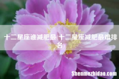 0718星座 0817 星座