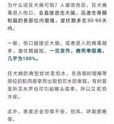 打完全程狂犬疫苗多久可以喝酒 打完全程狂犬疫苗多久可以喝酒吃辣