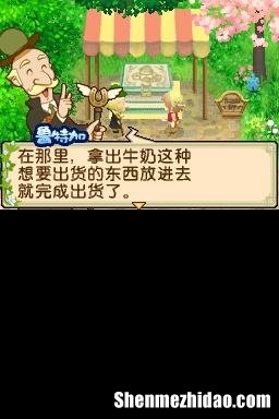 牧场物语双子村马 牧场物语双子村马车买完没来