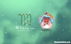 水瓶座上升处女座 水瓶座上升处女座男生性格
