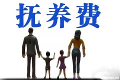 有抚养教育能力证明怎么写 有抚养教育能力证明怎么写申请