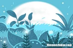 喜欢粉色的是什么星座 较喜欢粉色的是什么星座