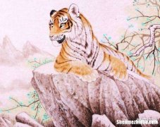 属虎2014年每月运势 属虎2014年每月运势怎样