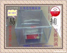 矿泉水瓶捕鼠器 矿泉水瓶子做捕鼠器