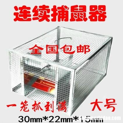 矿泉水瓶捕鼠器 矿泉水瓶子做捕鼠器