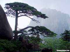 赞美黄山的文章 赞美黄山的文章100字