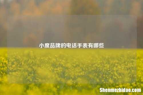 小度品牌的电话手表有哪些