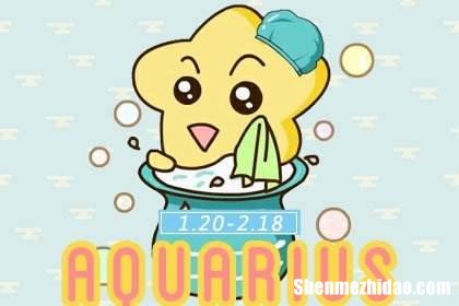 水瓶和水瓶座配对指数 水瓶和水瓶座配对指数分析