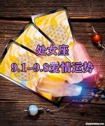 处女座有没有感情观的女生 处女座有没有感情观的女生呢