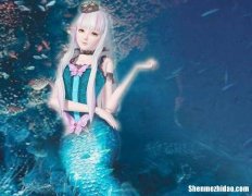 公主倾城冰城射手 公主倾城冰城射手电子版