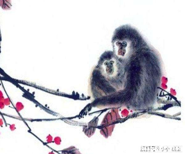 属猴的2018年运势运程 属猴2018年运势及运程每月运程