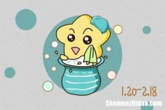 2014水瓶座的爱情运势 2014水瓶座的爱情运势查询