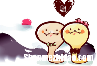 2019年属蛇女全年运势 2019年属蛇女全年运势怎样