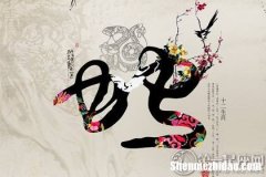 2019年属蛇女全年运势 2019年属蛇女全年运势怎样