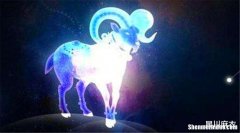 白羊男金牛女 白羊男金牛女配对指数分析