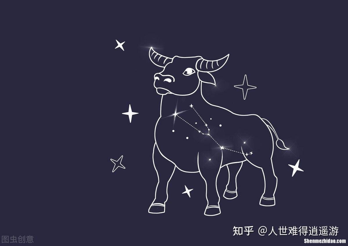 金牛座工作 金牛座工作缺点和优点