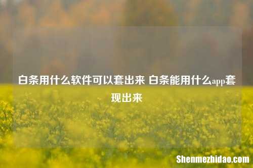 羊小咩用什么软件可以用起来 羊小咩能用什么app用起来出来